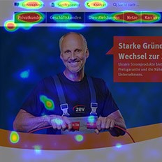 Webdesign Zwickauer Energieversorgung